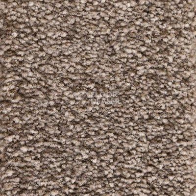 Ковролин AW Masquerade Lucrezia 47 фото 1 | FLOORDEALER